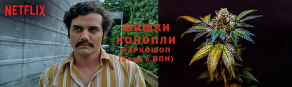 круглые Аркадак
