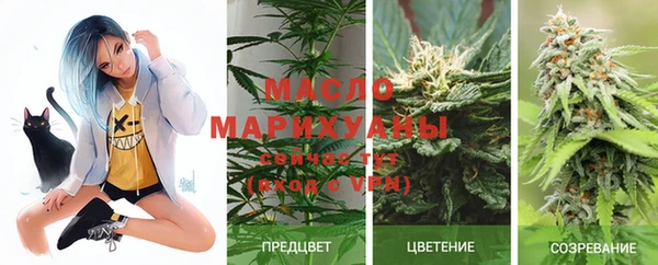 экстази Арсеньев