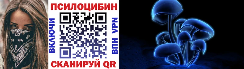 площадка официальный сайт  хочу   Новодвинск  Галлюциногенные грибы Magic Shrooms 
